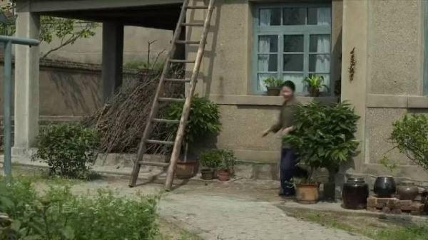 安杰在医院顺利生下一对龙凤胎，这一喜事为家庭带来了新的欢乐 父母爱情