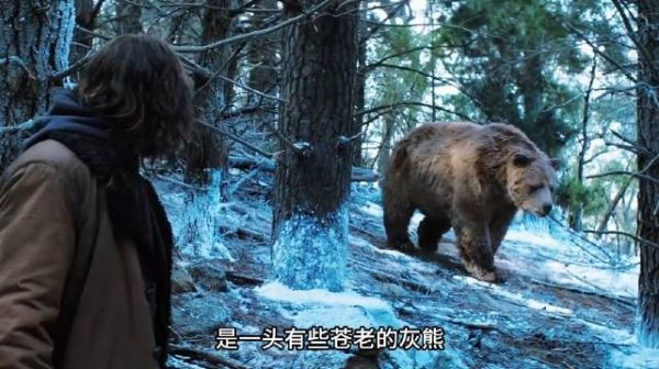 太好看了，近20年无法被超越的一部动作片，全程燃到炸裂！