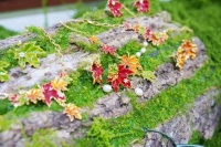 从濒临失传到走红海内外，百年珐琅如何在拼多多变年轻？