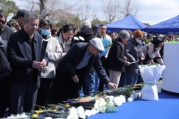 2025年上海骨灰海葬首破1万例