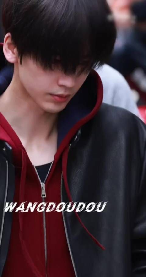 张凌赫顺毛限定版摄影师