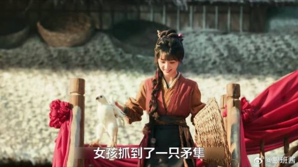 女孩抓了丈夫通信的矛隼，准备杀了补补身体