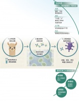 纳米抗体+AI，生物医药新革命（国际科技前沿）