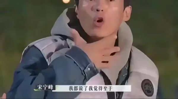 宋宁峰面相被指感情游离，张婉婷难管丈夫引热议