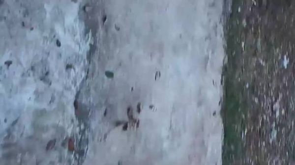 李丽珍的经典作品，真是百看不厌！