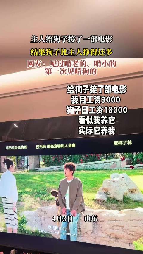 主人为爱犬接拍电影,宠物片酬反超主人引热议
