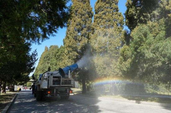 在北京天坛公园,工作人员驾驶雾炮车对飘散花粉的柏树进行喷淋。新华社记者 鞠焕宗 摄