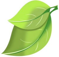 《蛙》：生育与忏悔，一部触动千千万万国人的灵魂之作