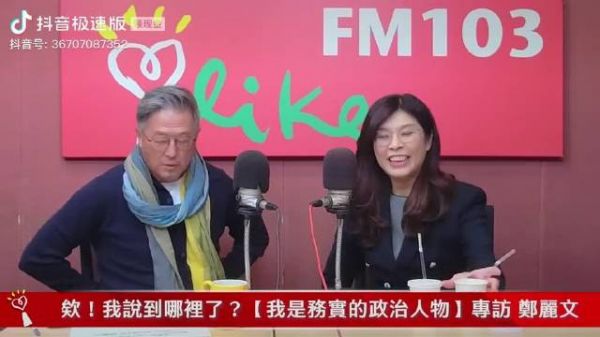 郑丽文,受访王伟忠