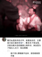 忠犬灵堂前泪流满面守护奶奶