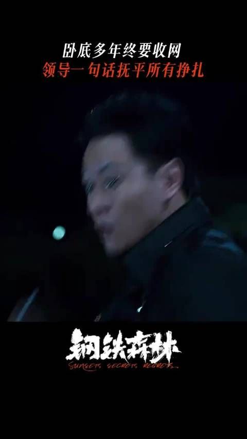 卧底警察秦俊杰遭同事怀疑引争议