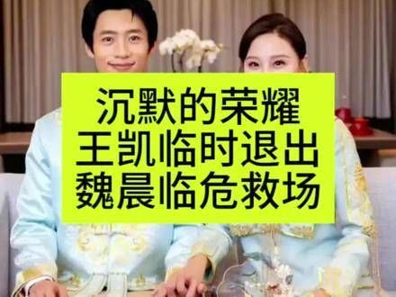 《沉默的荣耀》突发变阵：王凯因故暂别，魏晨火速接棒！