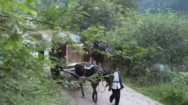 追梦谷:土匪嚣张拦截车队,谁知这回遇上高手,下秒全军覆没!