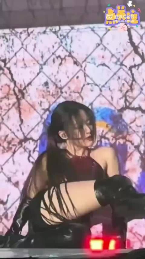 叶舒华的舞台也是很大胆啊 !只能说羡慕韩国演唱会