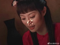 甄嬛传里的替身文学