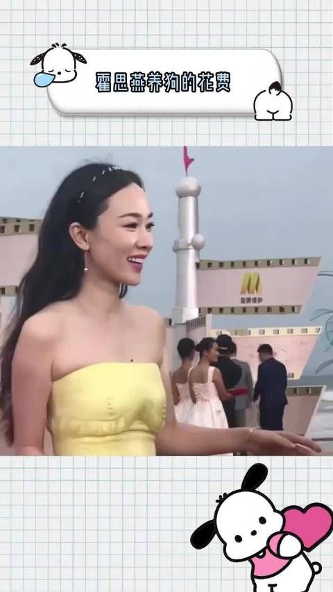 看霍思燕养狗的花费，你根本养不起