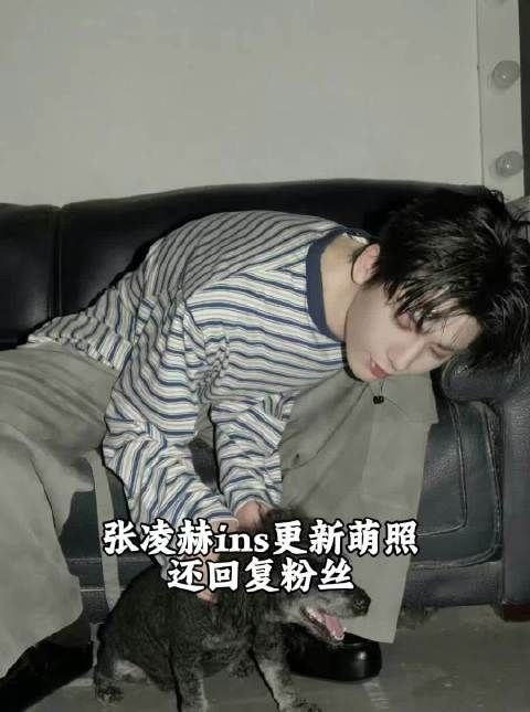 还回复粉丝 我还没狗狗 太可爱了吧？