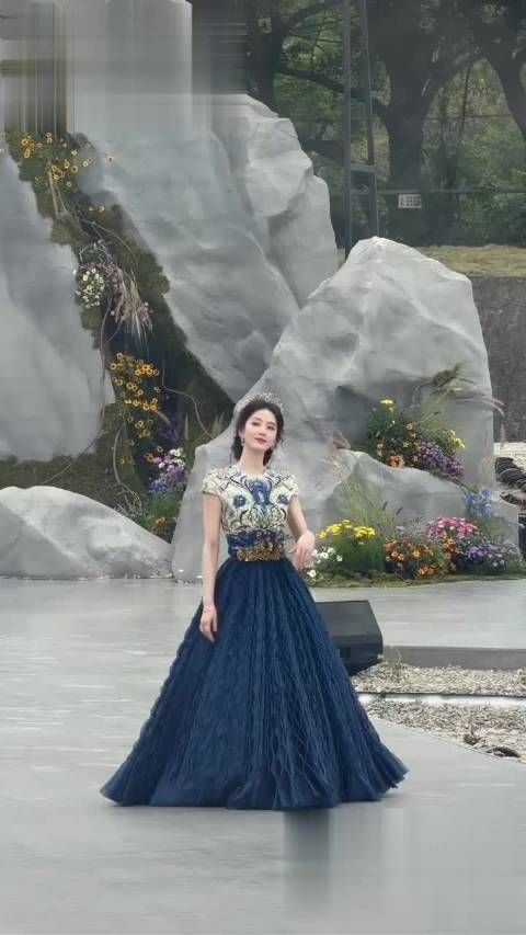 刘诗诗等六位女星亮相红毯状态引关注