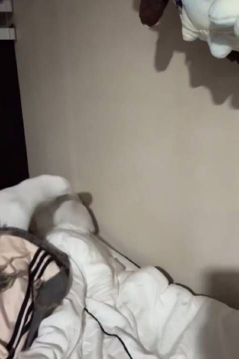 最近在泡羽衣甘蓝粉喝 他终于承认拱辰丹难吃了哈哈哈哈哈