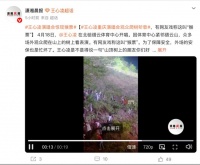 王心凌重庆演唱会门票热销，树上满是歌迷引热议