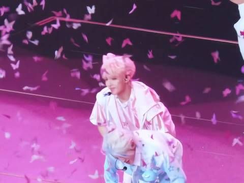 粉丝给朱志鑫苏新皓发红包，苏新皓演唱会直拍获赞