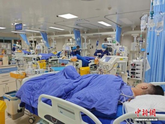 3月17日凌晨3时许，来自惠州的蘑菇中毒重症患者在广州市第十二人民医院重症医学科接受治疗。(广州市第十二人民医院 供图)