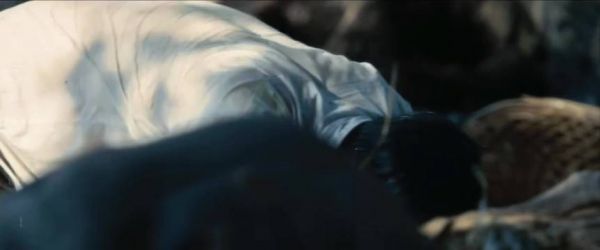 王阳张云魁默契合作攻克种地KPI