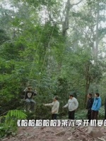 鹿晗面部贴创可贴引粉丝关切