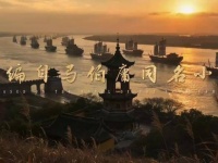 誓死捍卫太子殿下返京之路