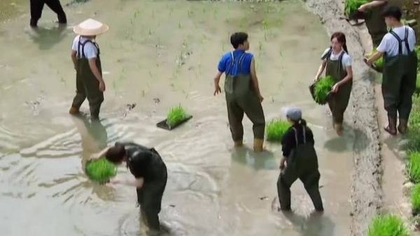 岳云鹏一句话，撕碎了内娱明星的田园谎言！