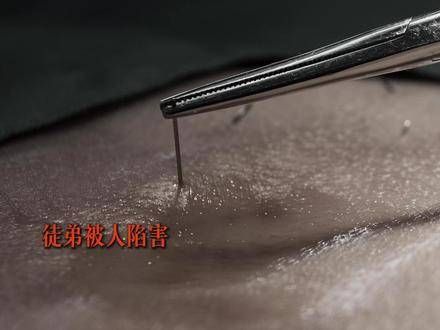 在师长眼中，江寒声始终是那个被偏宠的“小狗崽子”