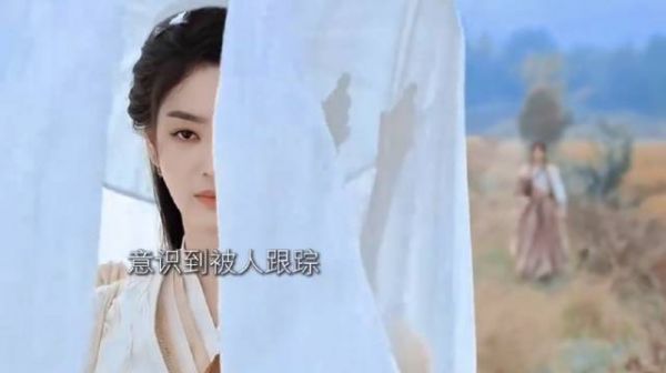 《佳偶天成》男二修无情道却恋剑修女二