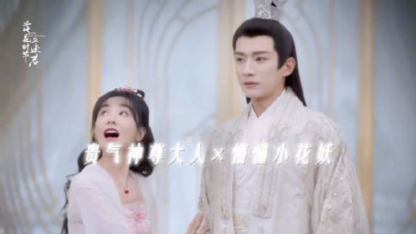 落花时节又逢君一周年