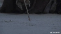 流浪北凉王世子成落魄乞丐，为填饱肚子主仆竟然靠偷骗地瓜充饥