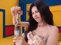 郑恺称白鹿表情如摊开的书，卧底较真全写脸上