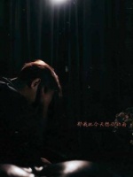 忧郁与悲伤的氛围已悄然铺展，效果尚可 ✌️