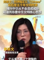 郑丽文解读Chinese文明内涵，强调和谐共生非威胁