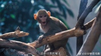 夫妻俩发现自己养的是一个恶魔但可惜晚了