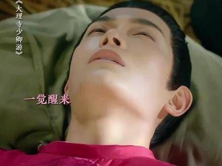 这哪是任职大理寺，分明是在猫咖里当猫主子的专属侍从~ 丁嘉文