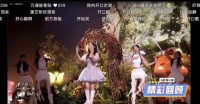 从《浪姐》说起：我们为什么爱上了“走音切片”？