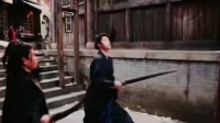 展昭韩立武斗风格对比,刚猛侠义对决飘逸仙法