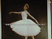 秦娥受白姨舞台风采激励立志成主角