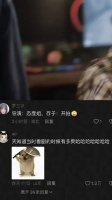 刘浩存出演反差感角色获赞天赋型演员