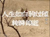网友重温三国演义从枯燥到沉醉