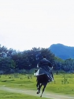 此沙骑马射箭镜头还原小说名场面