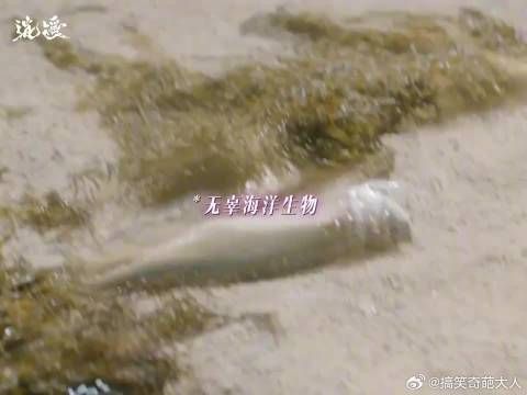 诶同学这里不让睡觉