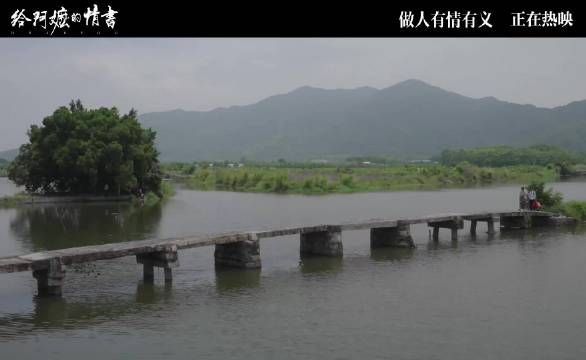 南枝熟悉塘西村细节引热议，淑柔生活场景如数家珍