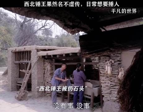 王雷拒演平凡的世界西北锤王，吕一贺秀莲引热议