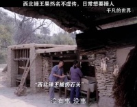 王雷拒演平凡的世界西北锤王，吕一贺秀莲引热议