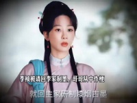 李祯再次回到李家，祖母请她来制墨